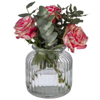 APS Vorratsglas COOKIEGO, 3 Liter