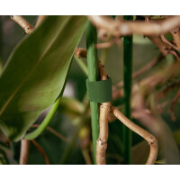 Bradas Klett-Bindeband, 9,5 mm x 5 m, grün