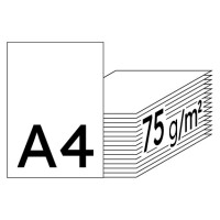 DISCOVERY Businesspapier weiß A4 75g - 1 Palette (100.000 Blatt)