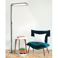 Hansa LED-Stehleuchte Capella, Höhe: 2.020 mm,...