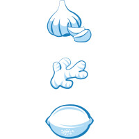 metaltex Ingwer- Knoblauchreibe, Edelstahl, silber