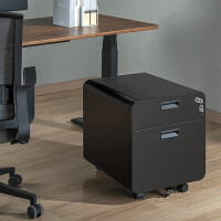 LogiLink Rollcontainer, 2 Schübe, schwarz