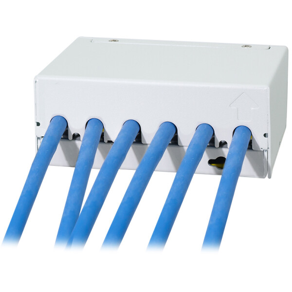 LogiLink Desktop Patch Panel Kat.6A, 4 Port, lichtgrau