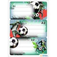 HERMA Buchetiketten VARIO "Street Soccer", 76 x...