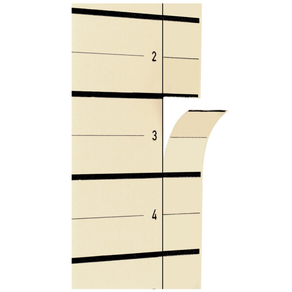 PAGNA Trennblätter, DIN A4, Kraftkarton, beige