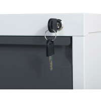 phoenix Aktenschrank FC1002GAK, 2 Schubladen, hellgrau grau