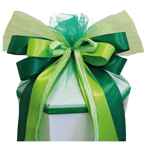 ROTH Schult&uuml;tenschleife "Green Magic", gr&uuml;n