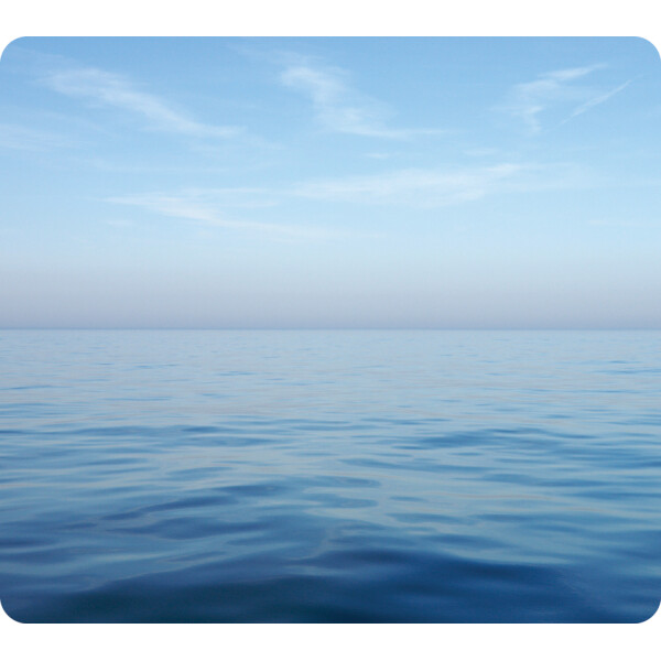 Fellowes Recyceltes Maus Pad, Motiv: Blätter, rechteckig