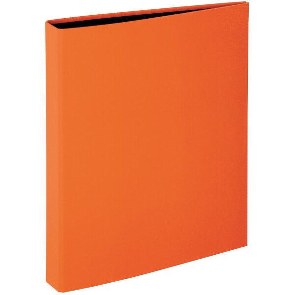 PAGNA Ringbuch "Trend Colours", 2-Bügel-Mechanik, lila