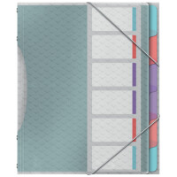 Esselte Ordnungsmappe ColourBreeze, A4, PP, 12 Fächer