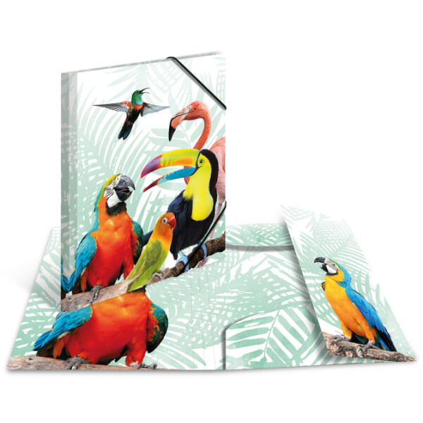 HERMA Eckspannermappe Exotische Tiere, A3, Erdm&auml;nnchentruppe