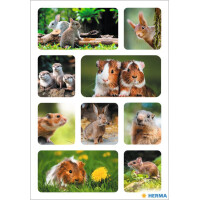 HERMA Sticker DECOR "Eichhörnchen"
