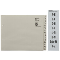 LEITZ Tauenpapier-Register, A-Z, für 50 Ordner, grau