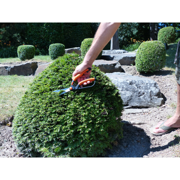 Garten PRIMUS Buchsbaumschere, klein, Länge: 260 mm
