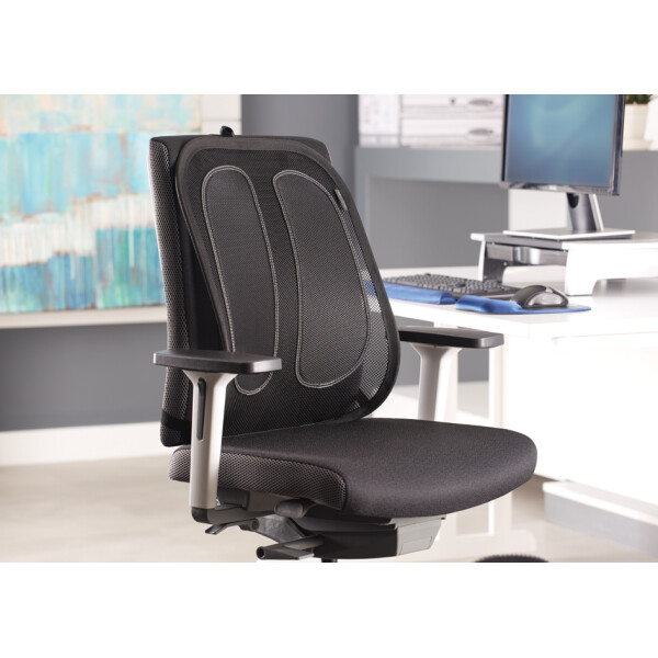 Fellowes Netz-R&uuml;ckenst&uuml;tze Office Suites, schwarz