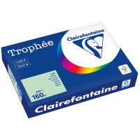 Clairefontaine Multifunktionspapier Trophée, A4, grau