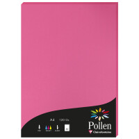 Pollen by Clairefontaine Papier DIN A4, kirschrot