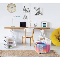 CEP Aufbewahrungsbox strata, 40 Liter, transparent