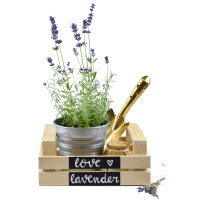 Pentel Kreidemarker WET ERASE SMW26, Keilspitze, rot