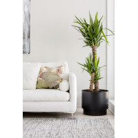 orthex Blumentopf PAULINA, Durchmesser: 400 mm, betongrau