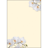 sigel Design-Papier, DIN A4, 90 g qm, Motiv...