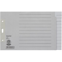 LEITZ Tauenpapier-Register, blanko, A5, 15-teilig, grau