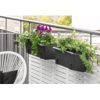 orthex Blumenkasten BOTANICA, Breite: 600 mm, schwarz