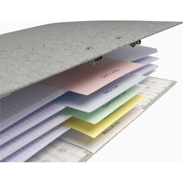 EXACOMPTA Trennstreifen Premium, 105 x 240 mm, grau