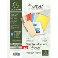 EXACOMPTA Aktendeckel FOREVER 180, DIN A4, grau
