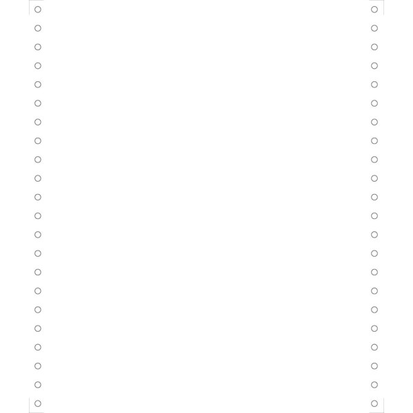 EXACOMPTA Computerpapier endlos, 240 mm x 12" (30,48 cm)