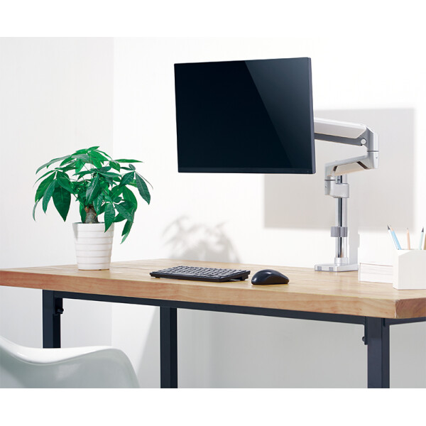 LogiLink Monitorarm, Armlänge: 553 mm, silber