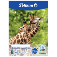 Pelikan Zeichenblock C4 10, DIN A4, 100 g qm, 10 Blatt