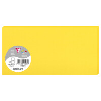 Pollen by Clairefontaine Karte DL, minze