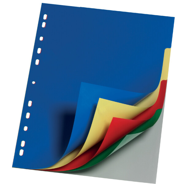 DURABLE Kunststoff-Register, A4, PP, 5-teilig