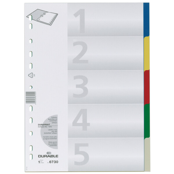 DURABLE Kunststoff-Register, A4, PP, 5-teilig
