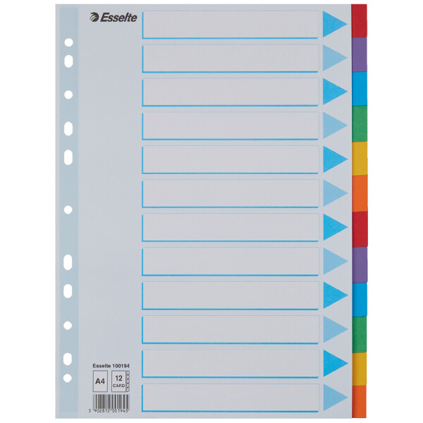 Esselte Karton-Register, blanko, A4, 6-teilig, mehrfarbig