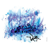 Marabu permanente Tinte Alcohol Ink-Set UNDERWATER