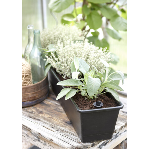 orthex Blumenkasten BALCONY, Breite: 550 mm, weiß