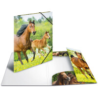 HERMA Eckspannermappe "Katzen", aus PP, DIN A3