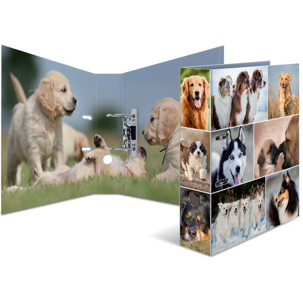 HERMA Motivordner "Animals", DIN A4, Katzen