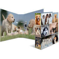 HERMA Motivordner "Animals", DIN A4, Katzen