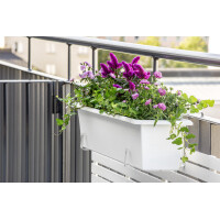 orthex Blumenkasten BOTANICA, Breite: 800 mm, weiß