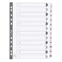 EXACOMPTA Karton-Register 1-31, DIN A4, weiß, 31-teilig