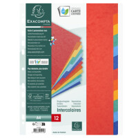 EXACOMPTA Karton-Register, 320 x 240 mm, 12-teilig
