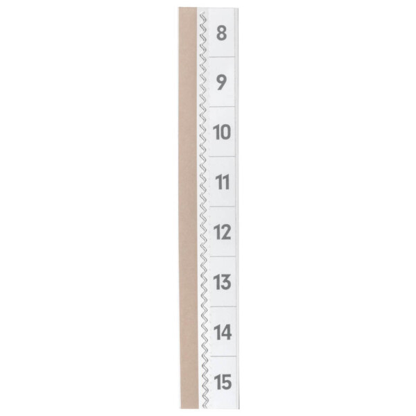 DURABLE Vollsicht-Reiter TABFIX, transparent, 2-zeilig