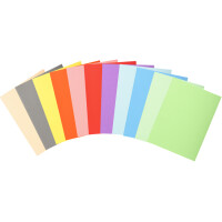 EXACOMPTA Aktendeckel FOREVER 180, DIN A4, rosa