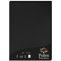 Pollen by Clairefontaine Papier DIN A4, clementine