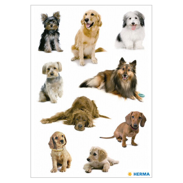 HERMA Sticker DECOR "Hundewelpen"