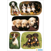 HERMA Sticker DECOR "Hundewelpen"
