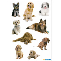 HERMA Sticker DECOR "Hundewelpen"